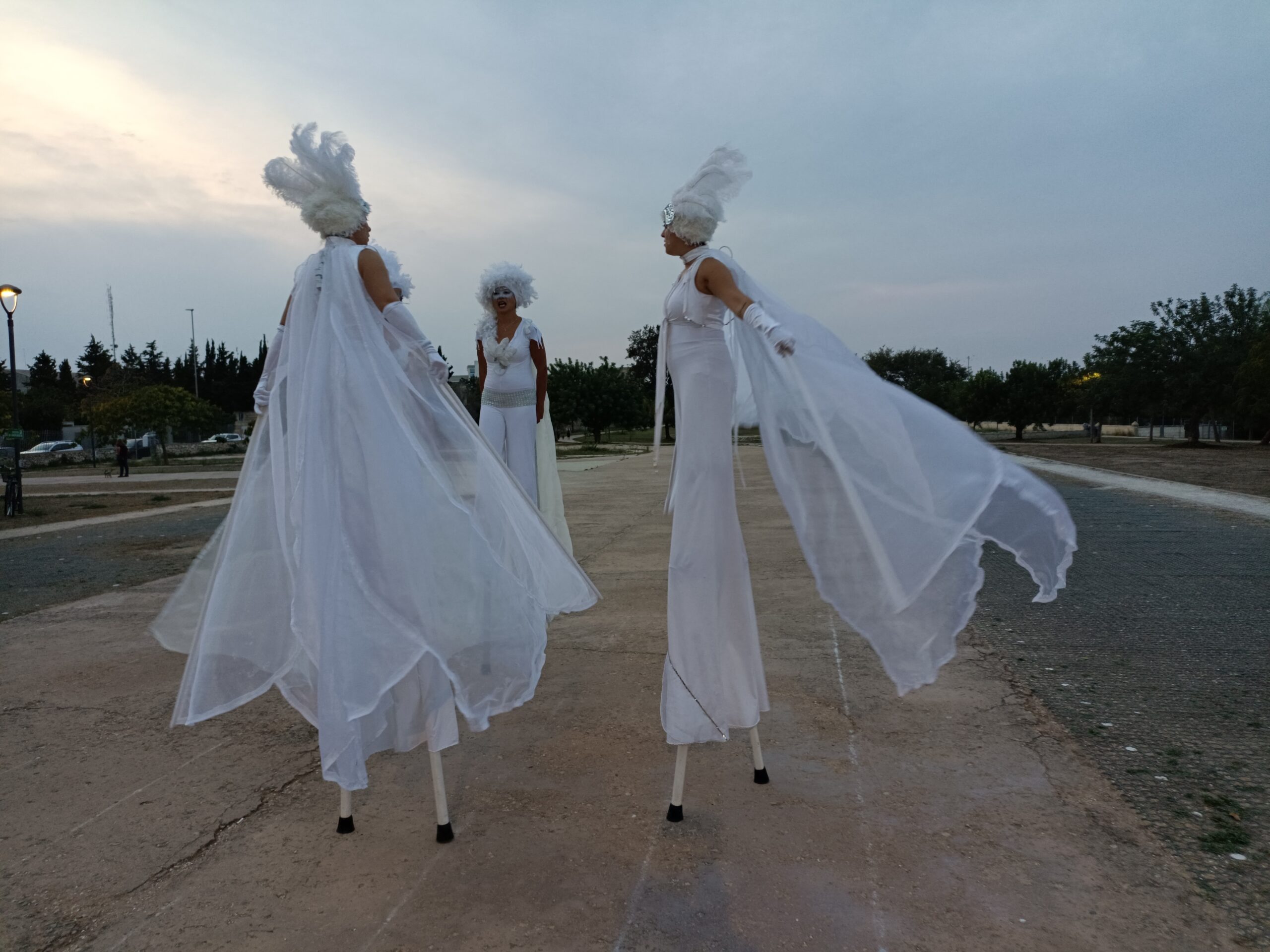 Spettacolo matrimonio