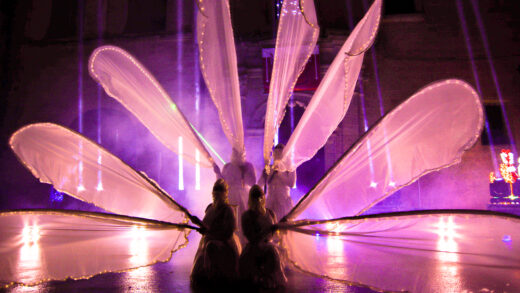 Dragonflies fusion – Light Dreams
