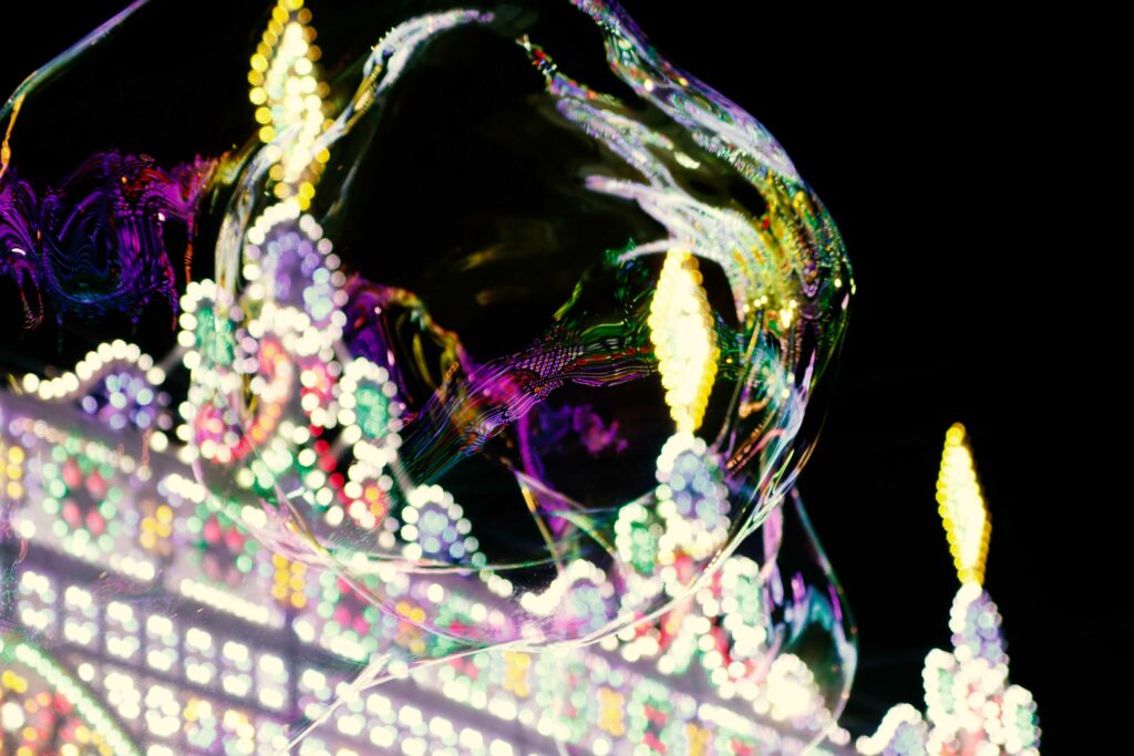 Papillon le Burlon Clown Mimo